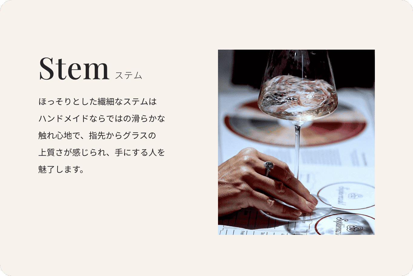 stem ステム | 説明画像