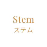 Stem ステム | イメージ画像